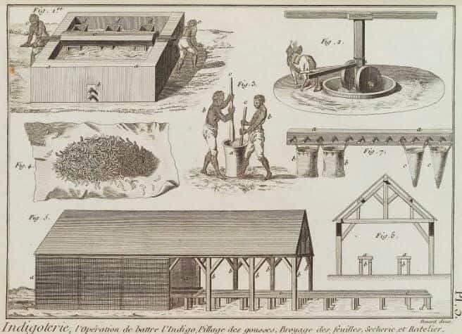 NATURAL DYES – THE HISTORY OF EXTRACTION OF BEAUTIFUL PLANT PIGMENTS NATURAL DYES – THE HISTORY OF EXTRACTION OF BEAUTIFUL PLANT PIGMENTS