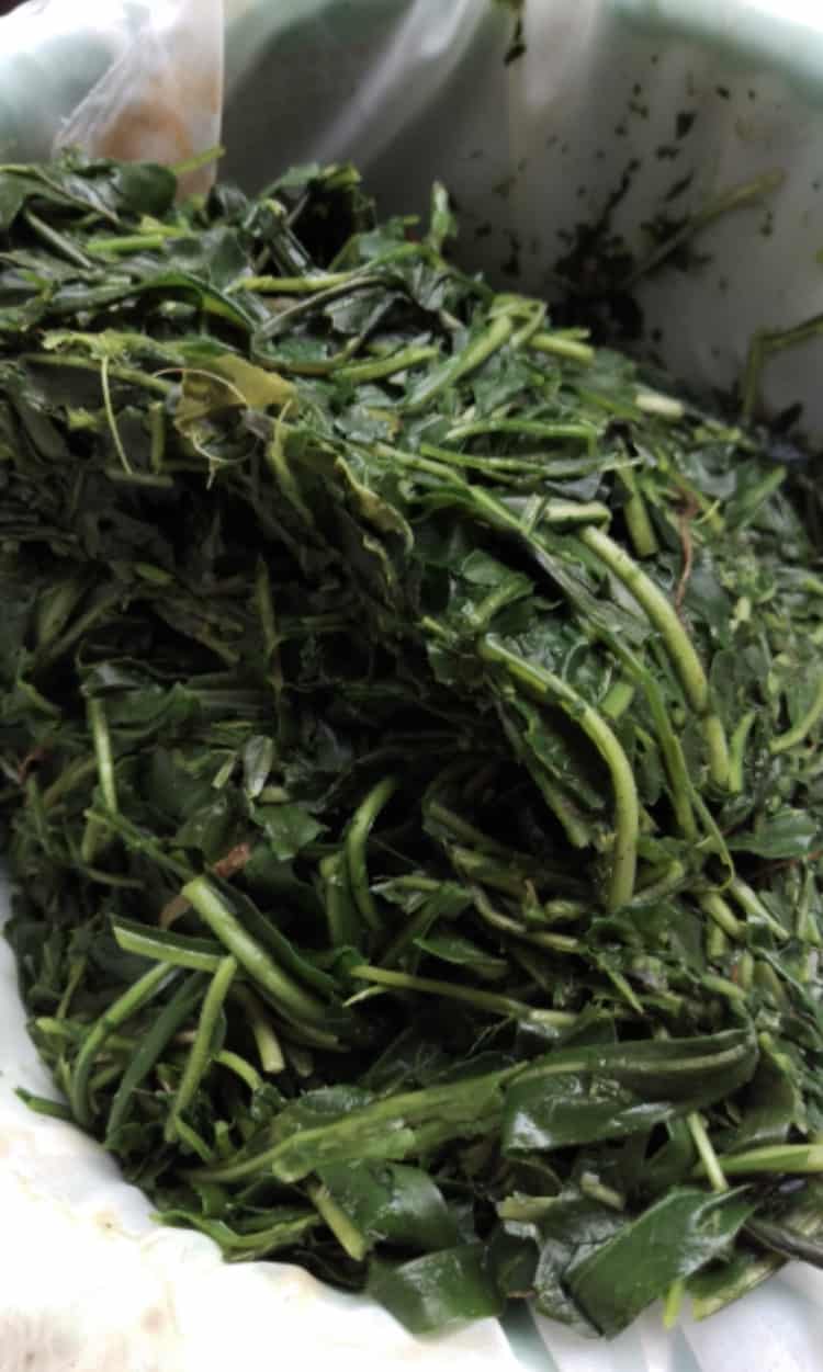 NATURAL DYES – THE HISTORY OF EXTRACTION OF BEAUTIFUL PLANT PIGMENTS NATURAL DYES – THE HISTORY OF EXTRACTION OF BEAUTIFUL PLANT PIGMENTS