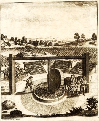 NATURAL DYES – THE HISTORY OF EXTRACTION OF BEAUTIFUL PLANT PIGMENTS NATURAL DYES – THE HISTORY OF EXTRACTION OF BEAUTIFUL PLANT PIGMENTS