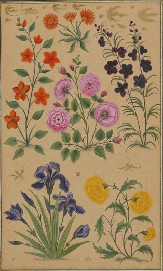 THE MUGHAL RULERS LOVE FOR BEAUTIFUL FLOWERS AND FLORAL DESIGNS