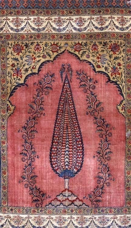 Cypress Motif, The Mysterious Stories Representing Death and Eternal Life