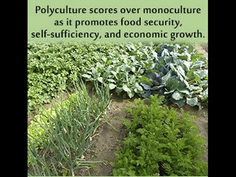 What is Earth Democracy, Living Soil, Regenerative Farming and GMOs