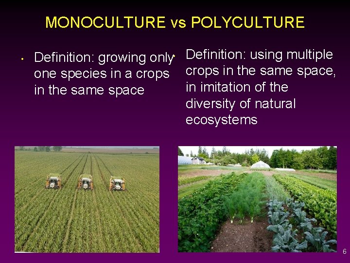 What is Earth Democracy, Living Soil, Regenerative Farming and GMOs
