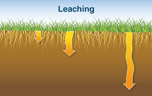 What is Earth Democracy, Living Soil, Regenerative Farming and GMOs